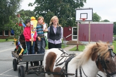 indsko2011