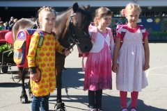 indsko2014