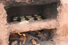 vikovn17